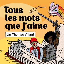 cover art for Tous les mots que j'aime