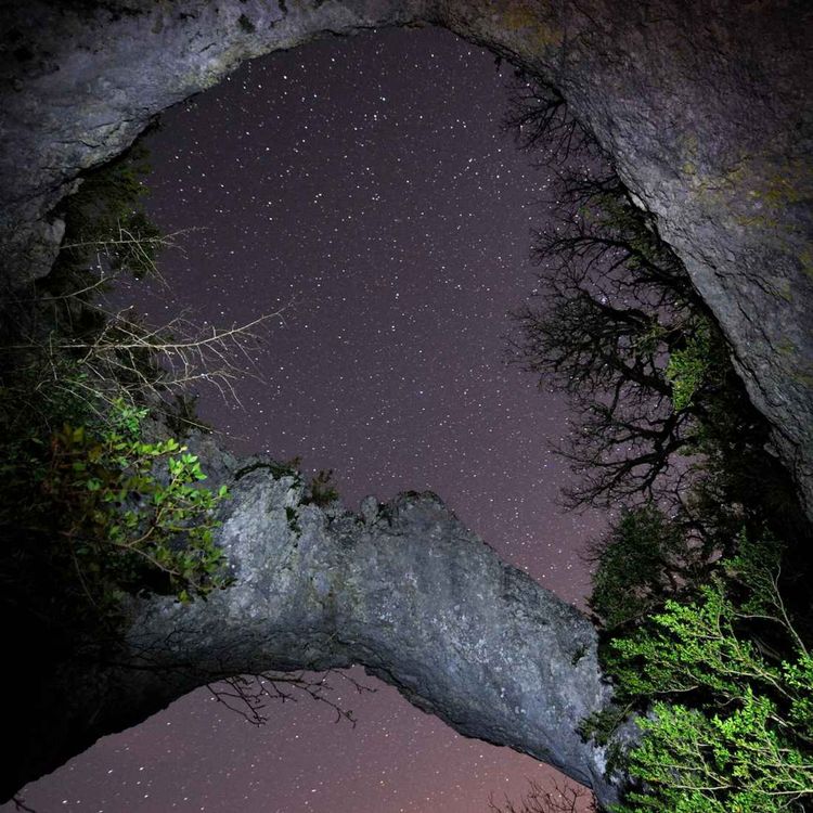 cover art for Dans la nuit noire de l'âme, il y a toujours un son qui veille 