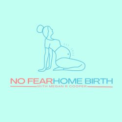 cover art for No Fear Home Birth