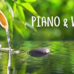 cover art for Pinkie  Nienow's