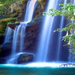 cover art for Chesley  Jaskolski's 