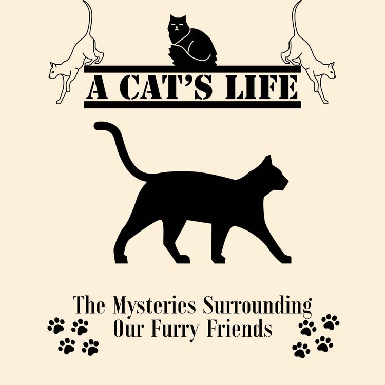 cover art for Episode 1: Whiskey 1