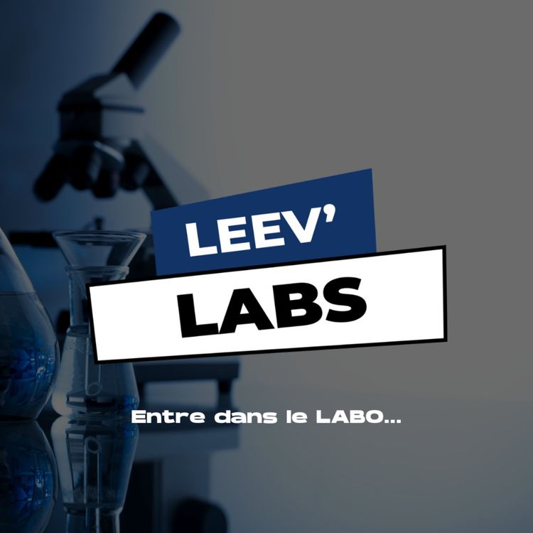 cover art for LEEV LABS Intro