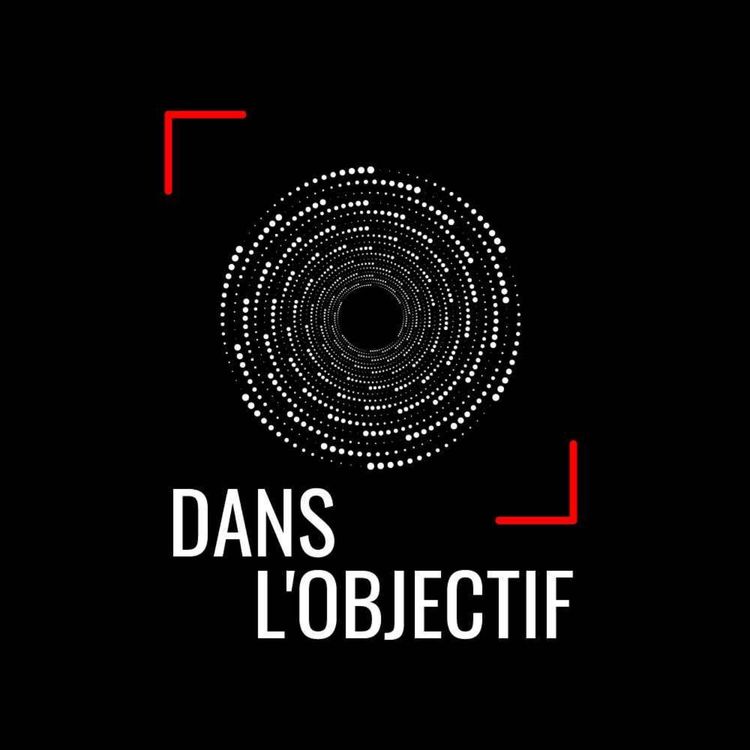 cover art for Comment les réseaux manipulent nos opinions - David Chavalarias