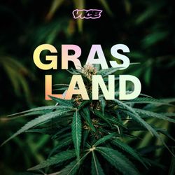 cover art for Grasland