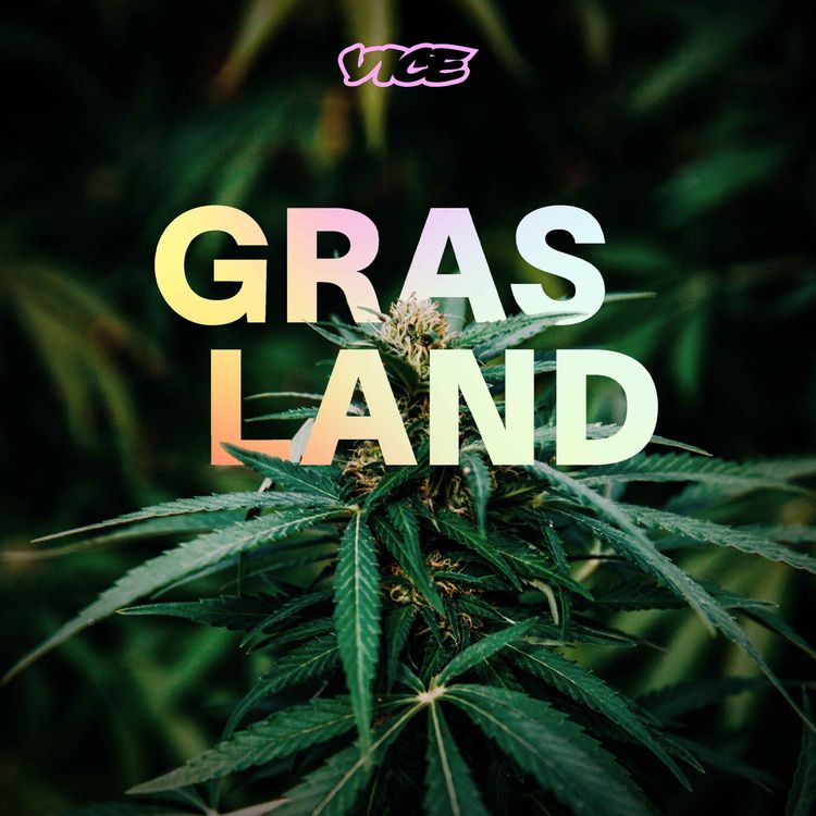 cover art for #7 – Wie gefährlich ist Cannabis für das Gehirn? Die Psychologin Eva Hoch über ihre Forschung