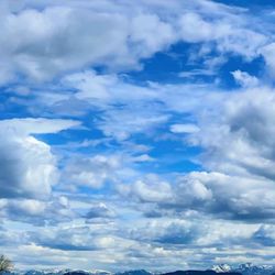 cover art for Bibelens sunne lære