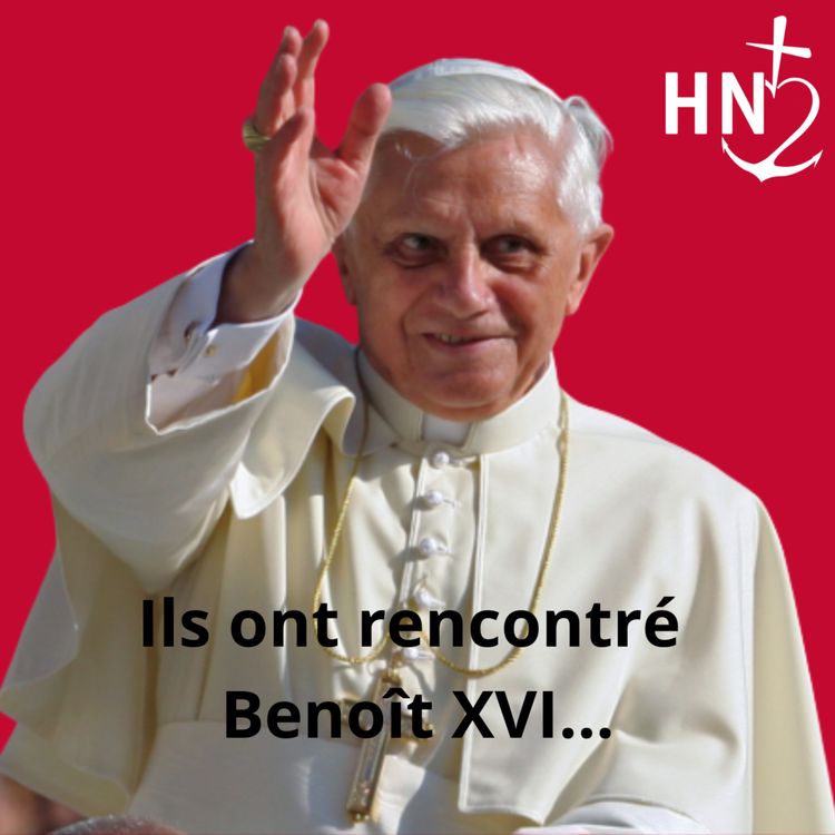 cover art for L'abbé Iborra : le traducteur