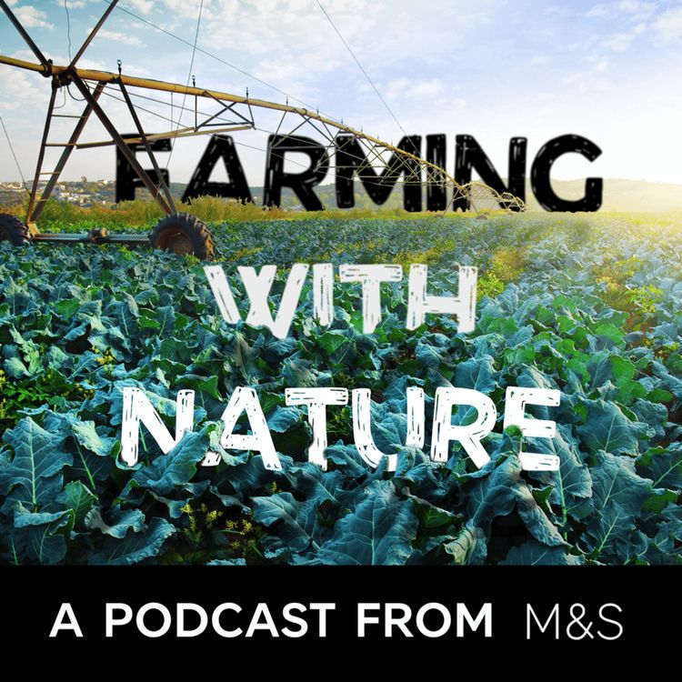 cover art for FWAG East Podcast - IPM and Farming with Beneficial Insects