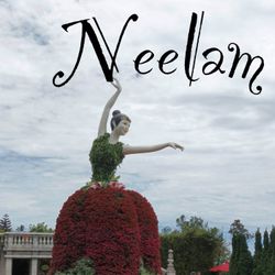 cover art for Neelam
