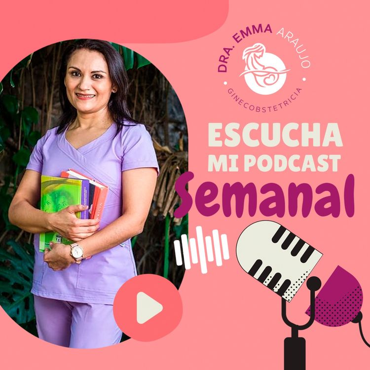 cover art for El útero, tu órgano genital interno