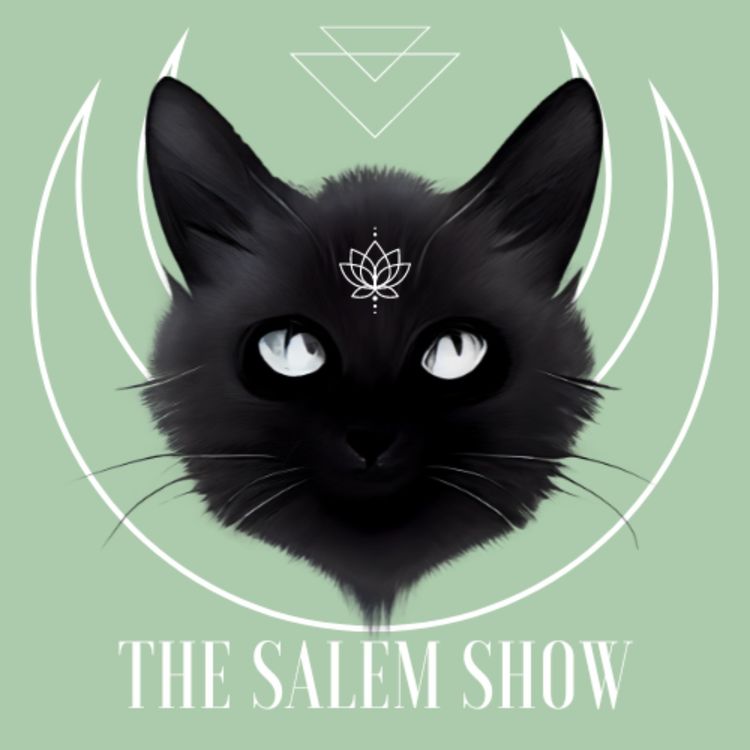 cover art for Épisode 17 - La patience 😎