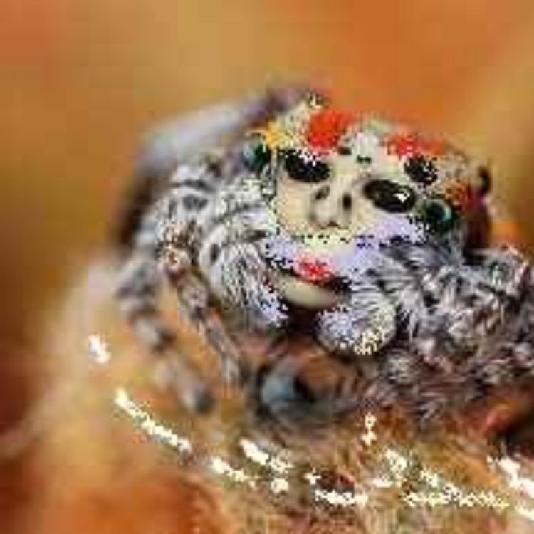 cover art for Tender Strands Chapter One