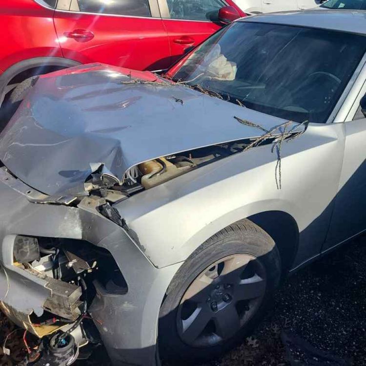 cover art for Intro! hey yall :)