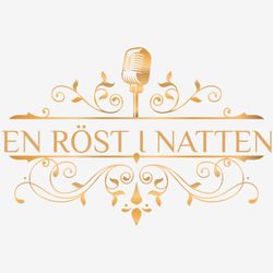 cover art for En röst i natten