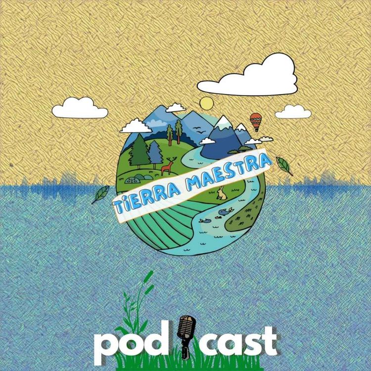 cover art for Casa Nido, arte,cultura, pedagogia y naturaleza