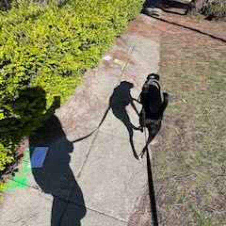 cover art for March 4th, 2023