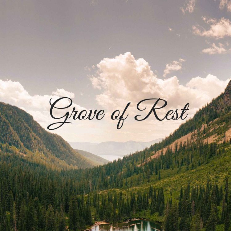 cover art for Rainy Night