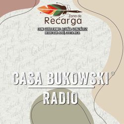 cover art for Zona de Recarga