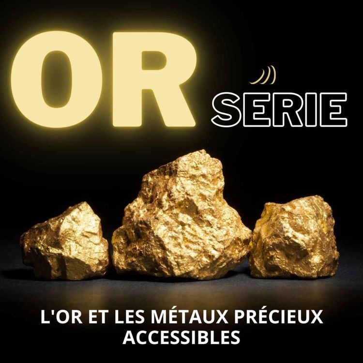 cover art for L'OR français sous protection en Afrique