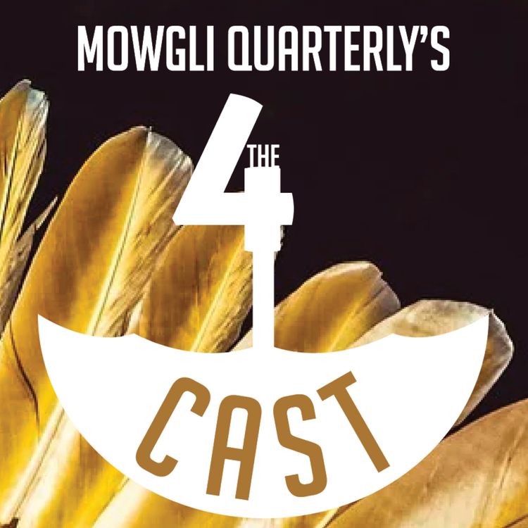 cover art for EPISODE 001: WTF is a Reverse Robert?