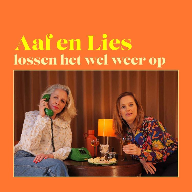 cover art for Trailer - Aaf en Lies lossen het wel weer op