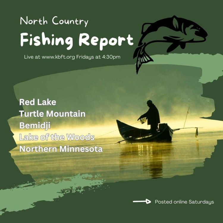 cover art for July 21st 2023 - Fishing Report
