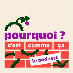 cover art for Pourquoi c'est comme ça ?