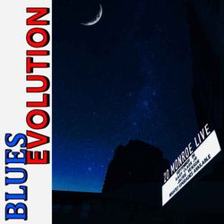 cover art for Blues Evolution