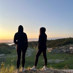 cover art for Det du inte visste