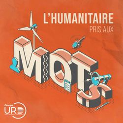 cover art for L'humanitaire pris aux mots