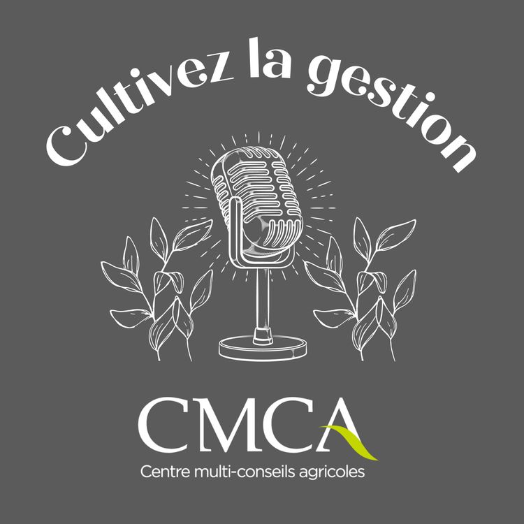 cover art for Voir loin pour orienter le présent : La planification stratégique