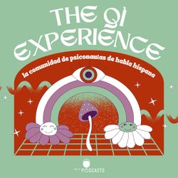 cover art for The Qì Experience