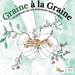 cover art for Graine à la Graine 