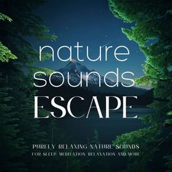 cover art for Nature Sounds Escape | Purely Relaxing Nature Sounds For Sleep, Relaxation, Meditation, Mindfulness, Study & Focus | Ambient Sounds Of Nature | Rain Sounds, Ocean Waves, Waterfall, River Sounds, Singing Birds, Beach, 8D Sounds, ASMR, White Noise & More