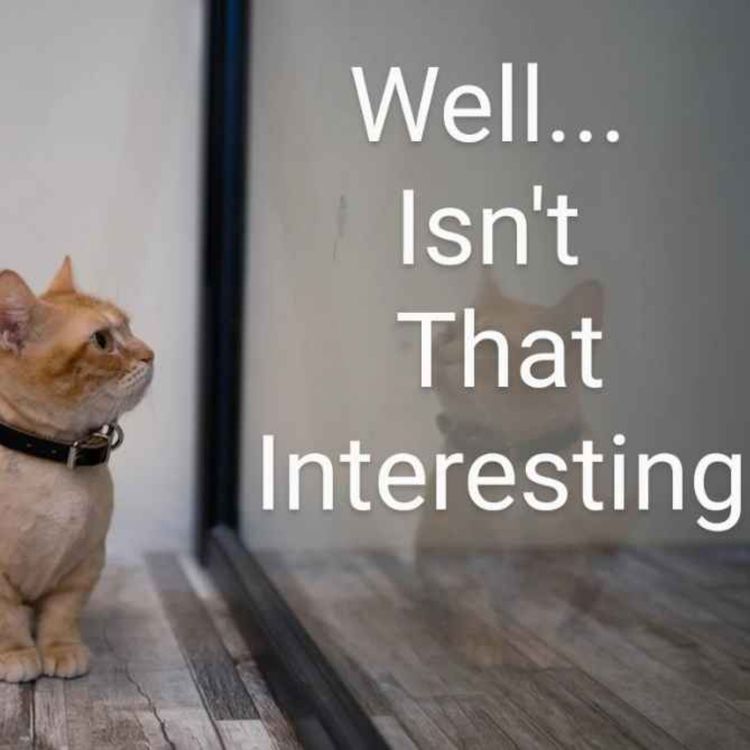 cover art for Episode 7 - Superstitions