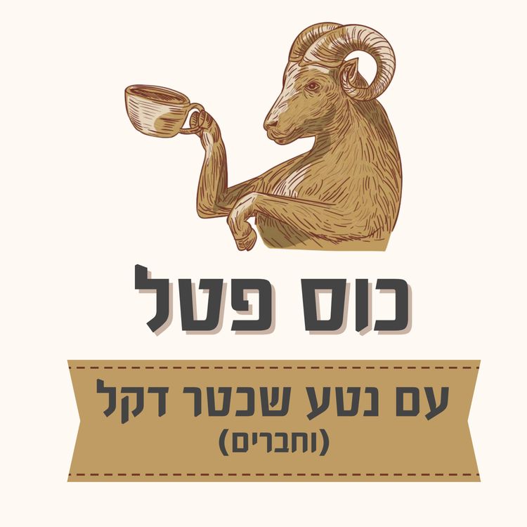 cover art for נהיגה או נסיעה?