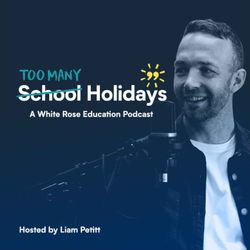 cover art for Too Many Holidays