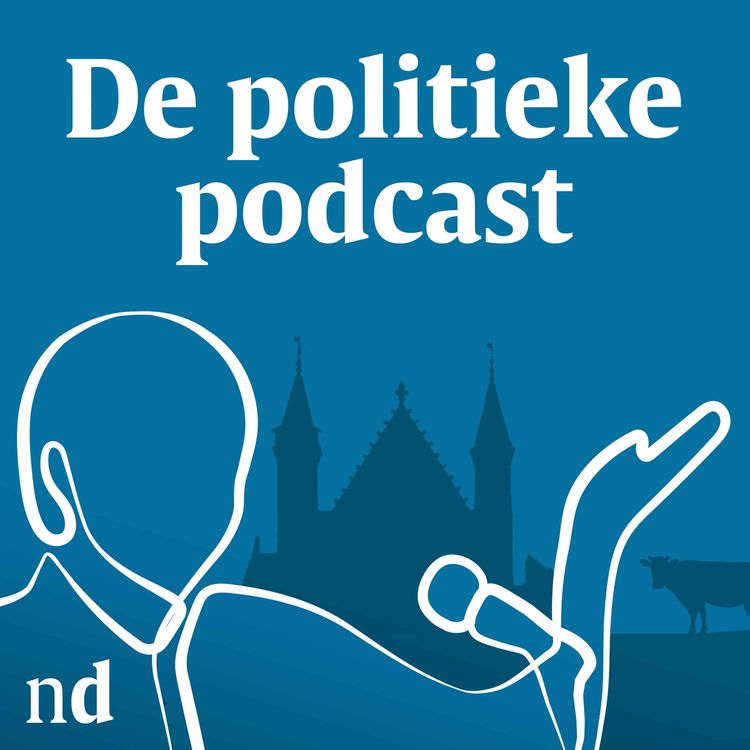 cover art for Een terugblik op het politieke jaar. Wat viel op?