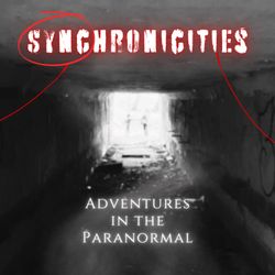 cover art for Synchronicities
