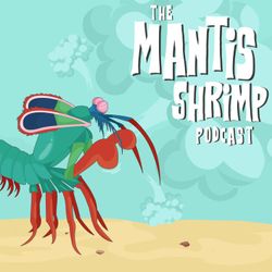 cover art for The Mantis Shrimp Podcast