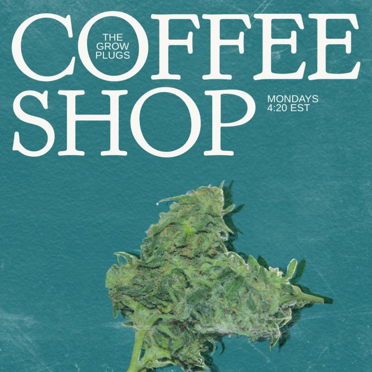 cover art for Coffee Shop S1 E3 - Hemp Oil For Your Pets, 3 Myths Debunked, Weekly Music Recommendation
