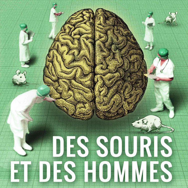 cover art for 21 septembre, Journée mondiale Alzheimer