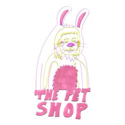 cover art for The Pet Diaries