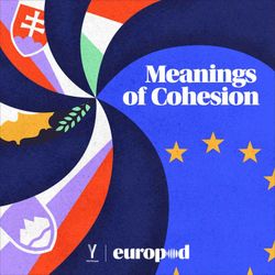 cover art for Meanings of Cohesion
