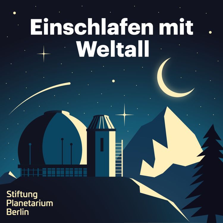 cover art for Die Vermessung der Welt