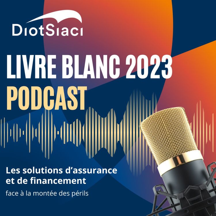 cover art for Dommages aux biens