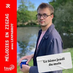 cover art for Mélodies en Zig Zag avec Lenparrot