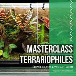 cover art for Masterclass terrariophiles