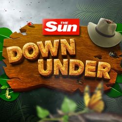 cover art for The Sun Down Under